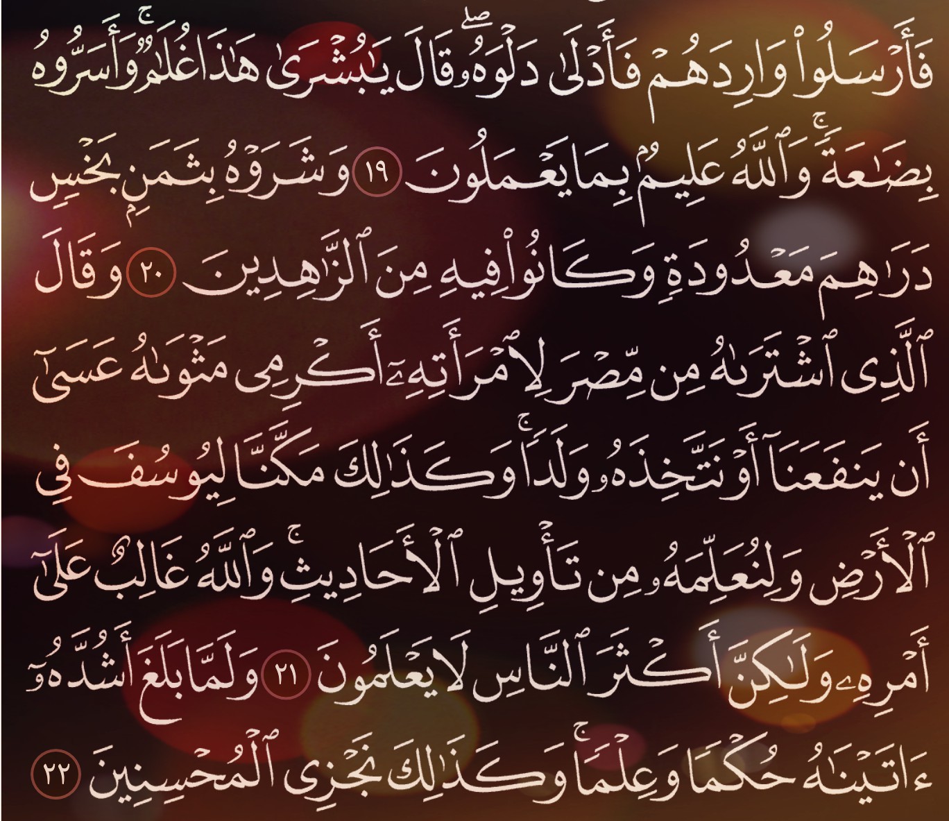 شرح وتفسير, سورة يوسف, Surah Yusuf, من الآية 15, إلى الاية 25,