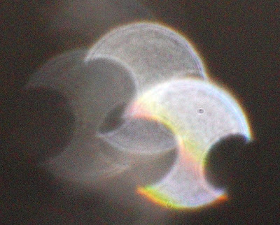 double-indented orbs