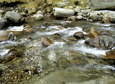 Beas River