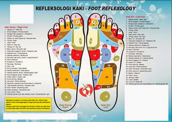 Ubat Stroke Saraf - Kebaya j