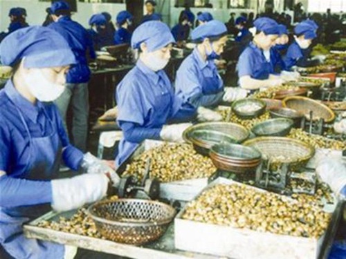Vietnam: Vinacas advises better packaging for cashew exports