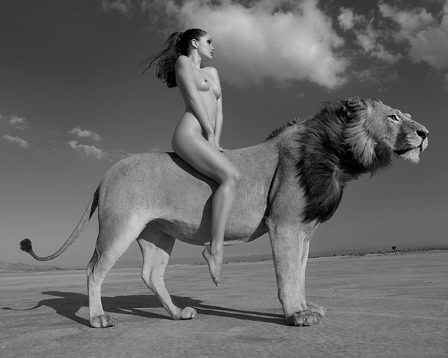 Lion Rider