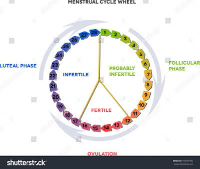 Menstrual Cycle And Ovulation Period: All You Need To Know About These Terms
