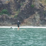 View album