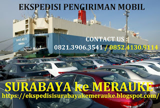 JASA EKSPEDISI | EXPEDISI PENGIRIMAN CARGO MOBIL (PICK UP TRUK COLT DIESEL/ CDD FUSO TRONTON TRAILER TANGKI DUMP TRUCK LOWBED CRANE)SURABAYA KE MERAUKE PAPUA MURAH