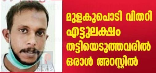 മുളകുപൊടി വിതറി എട്ടുലക്ഷം തട്ടിയെടുത്തവരിൽ ഒരാൾ അറസ്റ്റിൽ