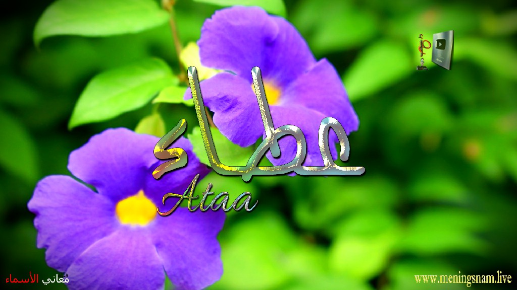 معنى اسم, عطاء, وصفات, حامل, وحاملة, هذا الاسم, Ataa,