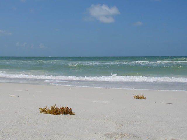 Plage de sable blanc et mer turquoise à Bradenton Beach en Floride