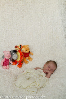 Pooh and Friends with Newborn photo