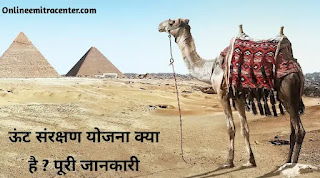 What is Camel Conservation Scheme in Hindi