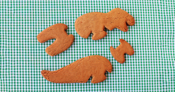 3D Dinosaur Cookie Cutters