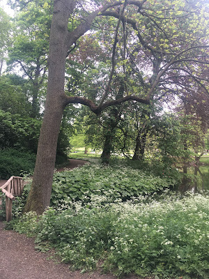 Park bij de Euromast, Rotterdam