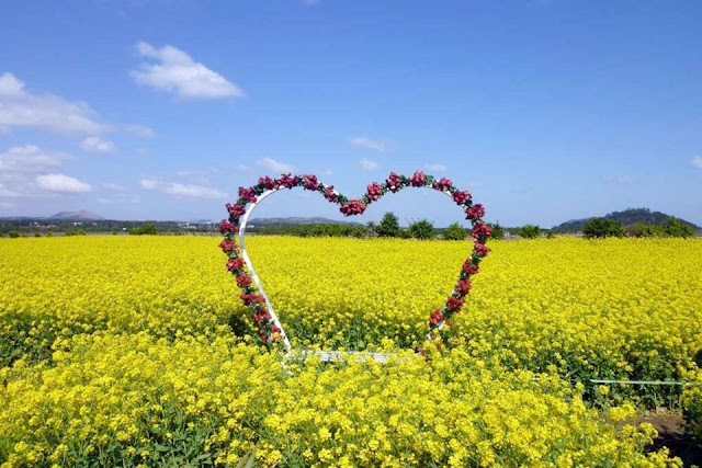 Jeju Island for A Honeymoon Paradise of Love