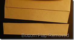 Flap Removed