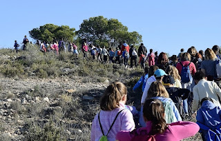 àlbum segon de primària