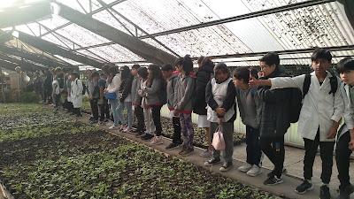 Foto 3: alumnos y alumnas observando el vivero situado dentro del Parque.