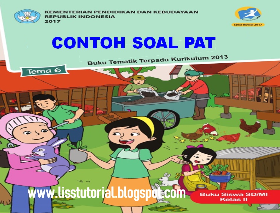 Contoh Soal UKK/PAT Tema 6