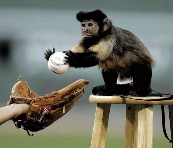 funny sports pictures. /s400/funny-sports-02.jpgquot;