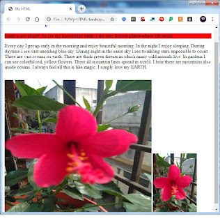 Images displayed in a web page in English, HTML img tag in English