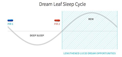 Advanced Lucid Dreaming Sleep Cycle