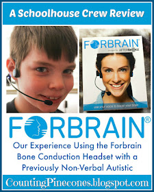 Forbrain, language difficulties, auditory processing disorder, bone conduction headset