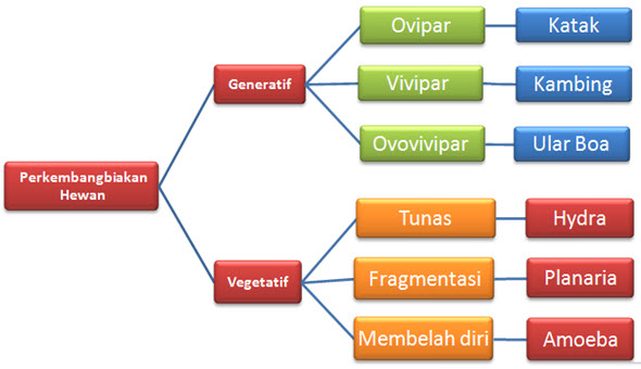 Contoh Kalimat Fakta Umum Fakta Khusus Dan Opini - Erectronic