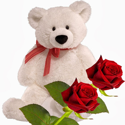 fresh-red-rose-teddy-bear-gift