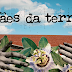 Série Mães da Terra já está disponível no streaming 