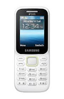 Samsung b313e format 