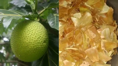 Breadfruit chips