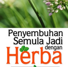 Anim Agro Technology: HERBA - Part 2