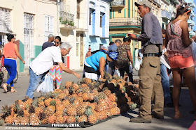 Продажа ананасов на улице в Гаване