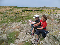 Skomer