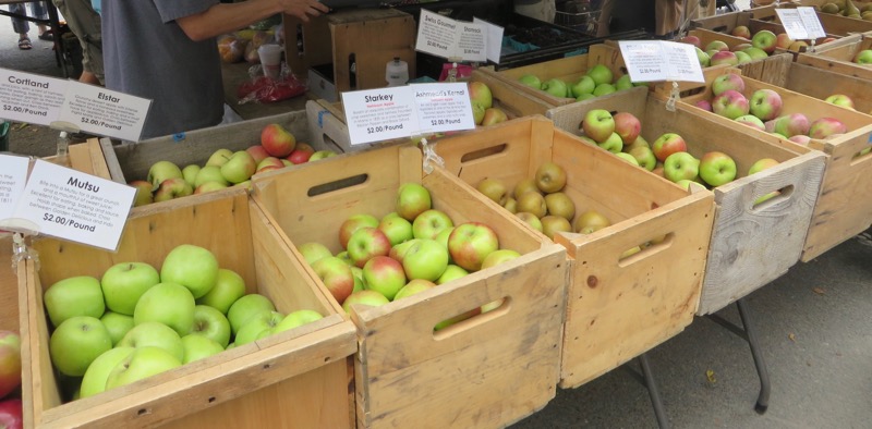 Apples in wooden bins