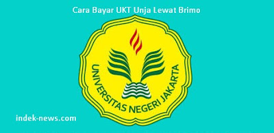 gambar Cara Bayar UKT Unja Lewat Brimo