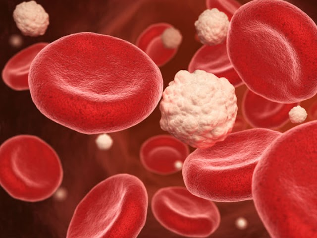 2 alimentos que disminuyen el azúcar en la sangre