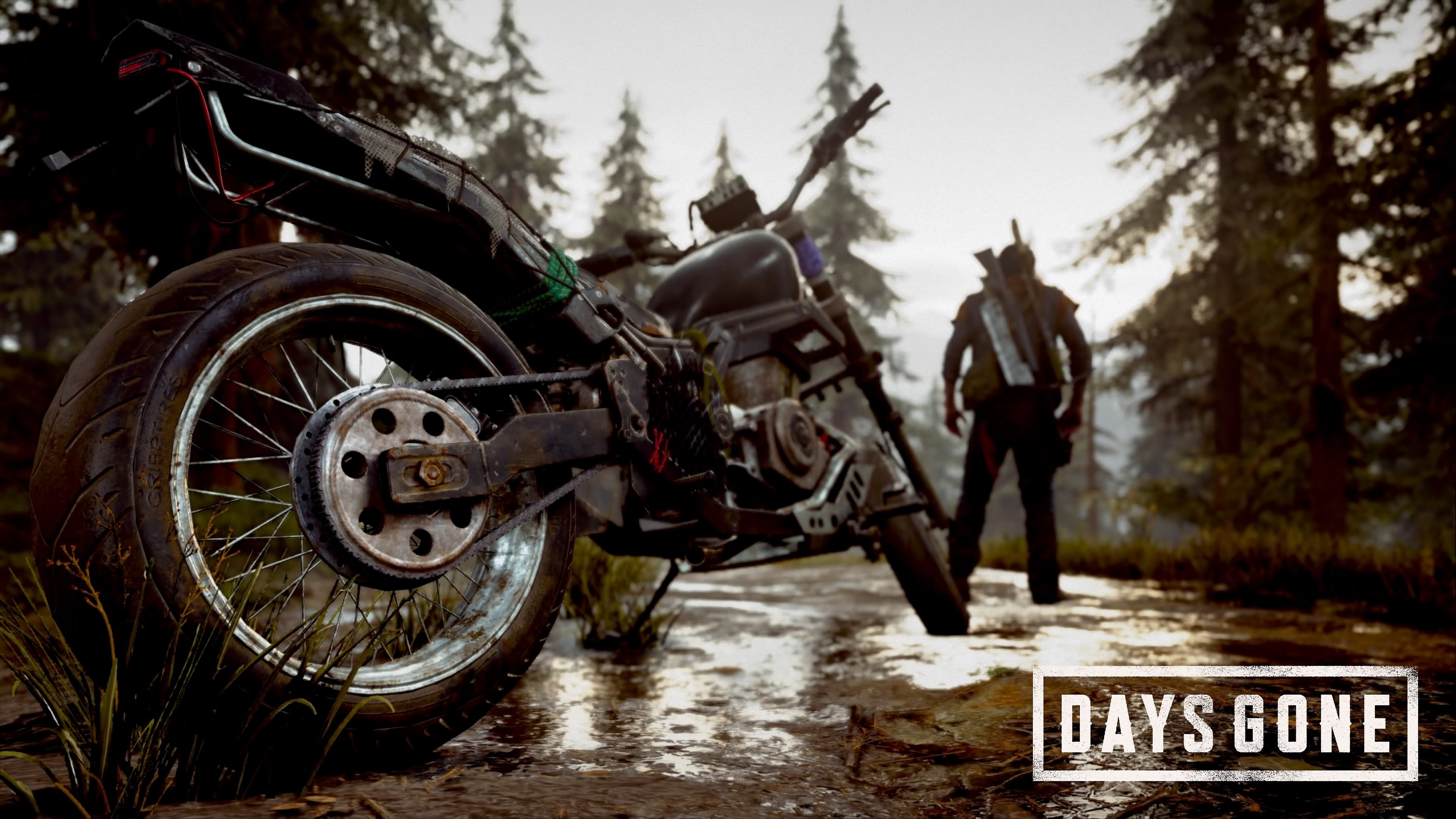 Days Gone Купить Ключ На Пк