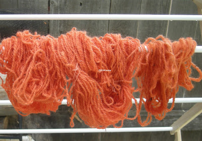 wool dyed orange with madder Rubia tinctoria