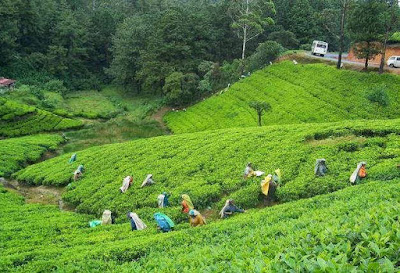 Beautiful Place in Madhabkunda