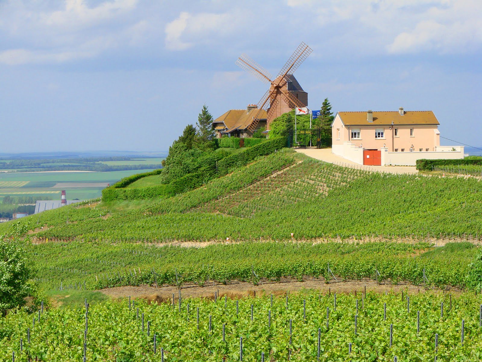 best wine regions in the world