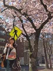 Sakura in front of Hotel