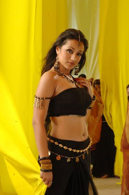 South Indian Sexy and Beautiful Actress Trisha Photo gallery 3