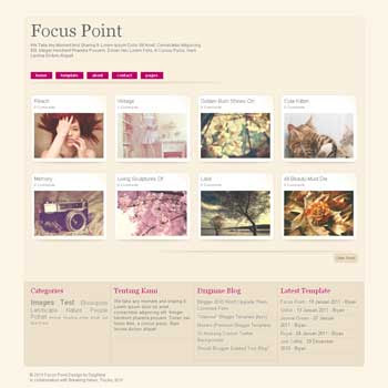 Focus Point blogger template. gallery and photography blogger template