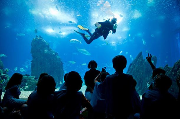 oceanário, crianças