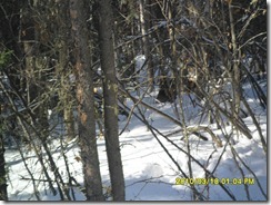 SAM_0946