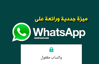 apk whatsapp beta