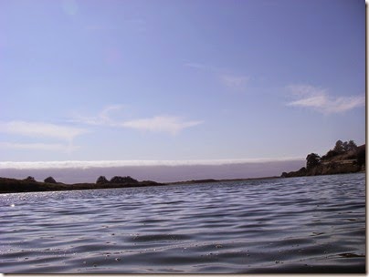 IMGP0095