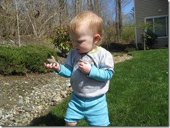 Springtime 121