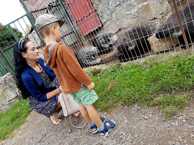 Zoo Farma Łączna 