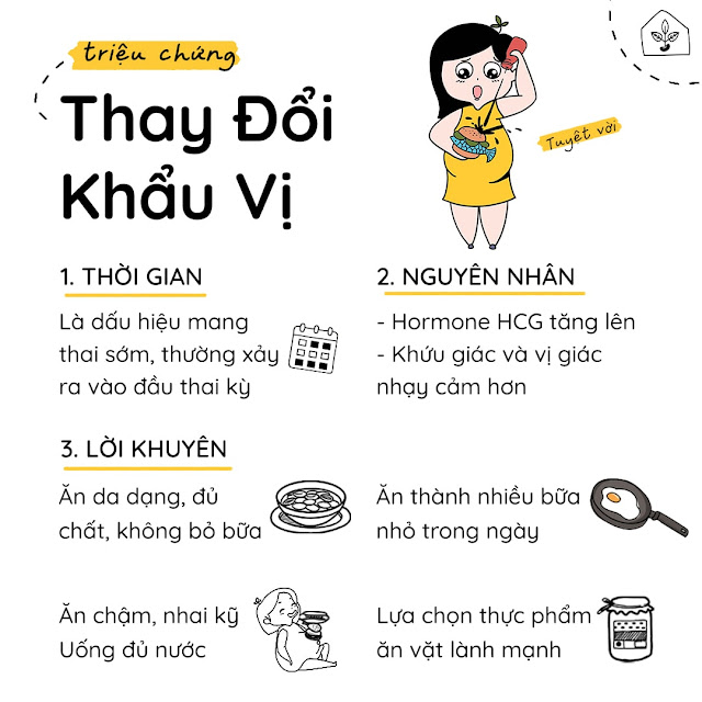 Mẹ có nhận thấy khẩu vị của mình bị thay đổi khi mang thai?